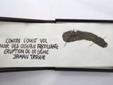 a picture of a picture of a bird with a quote on it