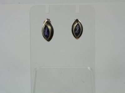 a close up of a pair of earrings on a clear stand