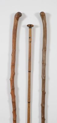 Lot de trois cannes décoratives, deux à fût en épineux, la troisième à