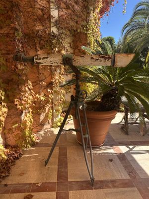 un appareil photo posé sur un trépied à côté d'une plante en pot
