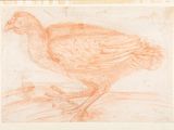an image of a drawing of a bird on a piece of paper