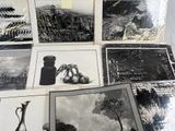 several black and white photographs of vases and vases on a table