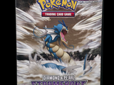 a picture of a pokemon trading card game box