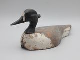 un canard perché sur un morceau de bois