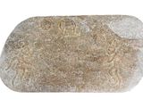 a stone with carvings on it on a white surface
