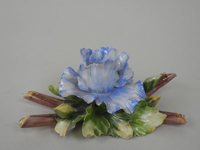 une fleur bleue au sommet d'une feuille verte
