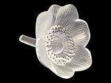 un gros plan d'une fleur blanche sur fond noir
