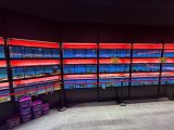 un vaste choix de poissons de toutes sortes dans un magasin
