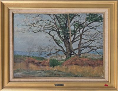 an oil painting of a tree in a field with a sky in the background