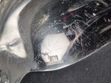 a close up of a metal spoon with a white ball in it