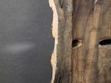 a bird that is sitting on top of a wooden pole