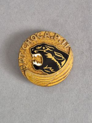 un gros plan d'un insigne doré et noir sur une surface blanche