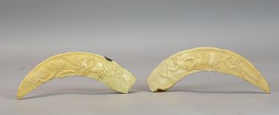 paire de cornes sculptées sur fond blanc