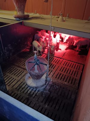 a fire pit with a fire in it and a fire hydrant in the background