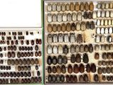 many different types of knives and spoons on display