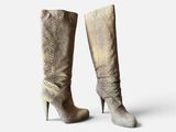 pair of high - heeled boots on a white background