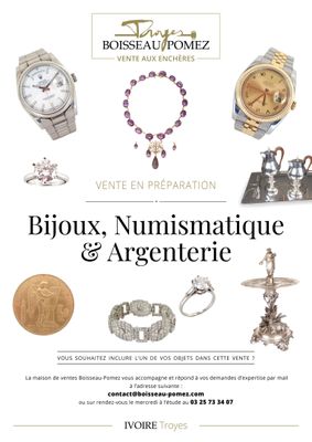 la couverture du livre « Bioux numismatique et argentique »