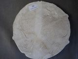 an image of a piece of bread with a label on it
