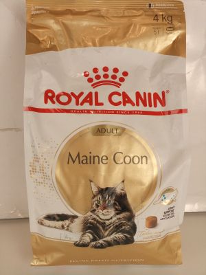 Royal Canin Maine Coon Adult : croquettes pour chat adulte