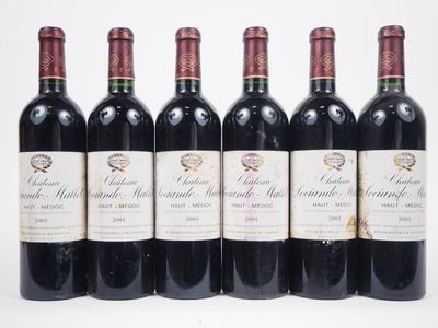 six bouteilles de vin rouge alignées sur une surface blanche