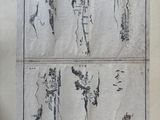 un vieux livre sur lequel figurent des dessins représentant des personnes et des animaux