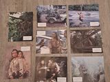 six cartes postales représentant des morts-vivants sont posées sur un plancher en bois