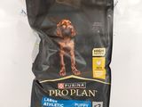 Le sac de croquettes « Prop Plan » pour chiens est posé sur une table.