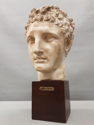 D'après PRAXITELE. "TETE D'HERMES" d'époque XXème, buste en …