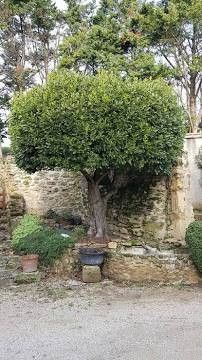 Destockage & Invendus