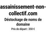 Photo 1/1 du lot