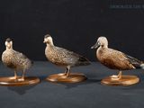 trois canards sont posés sur des socles en bois, sur une surface noire