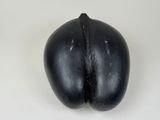 l'image d'un objet noir sur une surface blanche