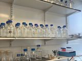 many bottles and containers on the shelves in the room