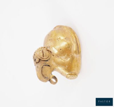 an image of a gold head of a dog on a white background
