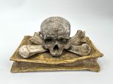 a skull and bones sitting on a pillow on a white surface