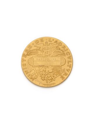 an image of a gold coin on a white background