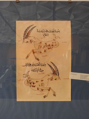 a picture of a picture of birds in arabic on display