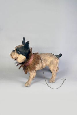 un petit chien qui porte un chapeau et qui est tenu en laisse