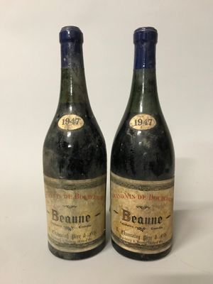 deux bouteilles de vin rouge posées l'une à côté de l'autre sur une surface blanche