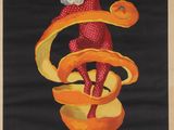 an image of a poster advertising campari for party with a cat on top of an orange peel