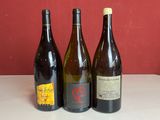 plusieurs bouteilles de vin sont alignées sur un comptoir