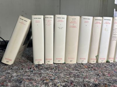beaucoup de livres alignés par terre