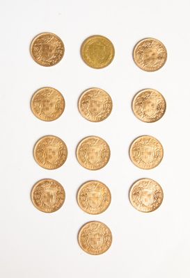 a lot of gold coins on a white surface