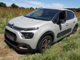 La petite voiture est garée dans un champ d'herbes hautes.