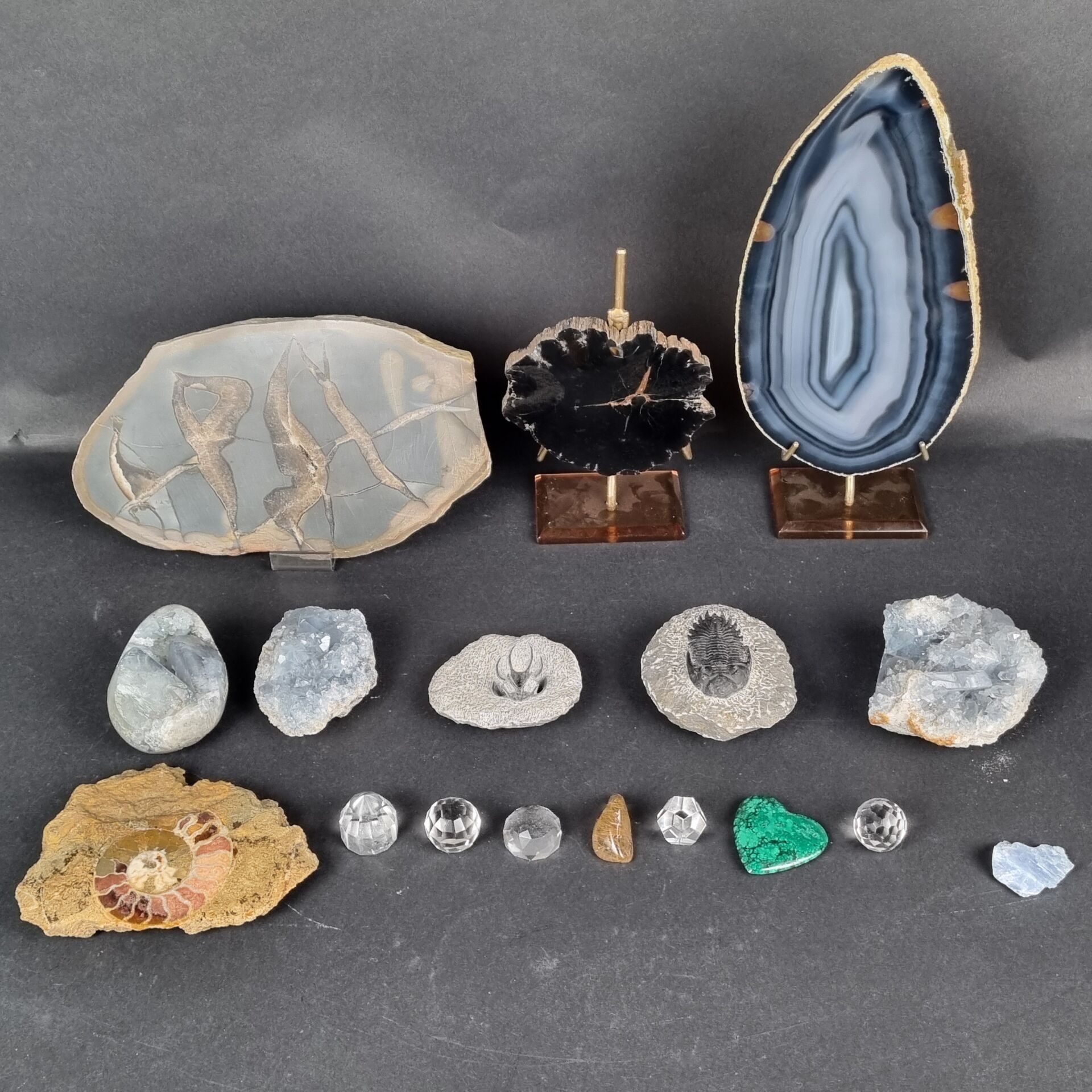 Objets d'art & Curiosités