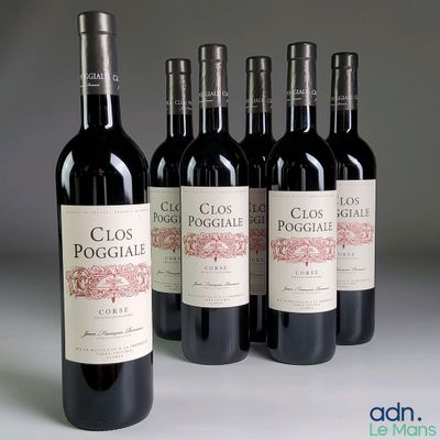 six bouteilles de vin rouge sont alignées