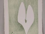 un dessin représentant deux fleurs blanches sur une feuille de papier