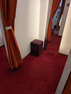 a room with a red carpet and curtains on the walls