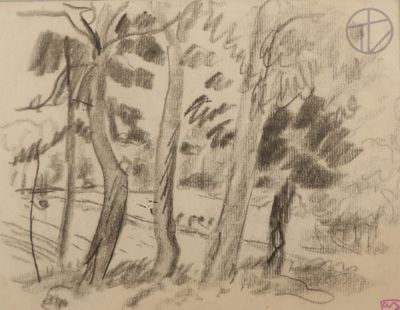 a pencil drawing of trees in the woods