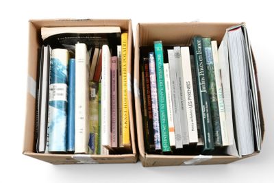 deux cartons remplis de livres posés sur une surface blanche